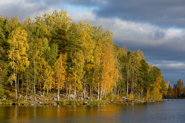 Fototapeta premium Autumn color trees and lake landscape