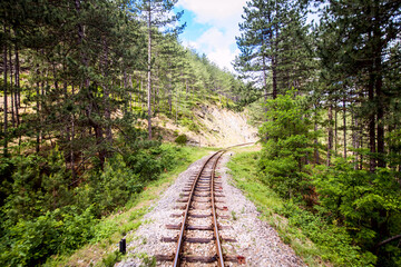 Obraz premium Narrow-gauge heritage railway, Tourist Attraction, old-fashioned travel, nature landscape, Mokra Gora - Serbia