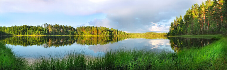 Beautiful panorama of  forest lake.