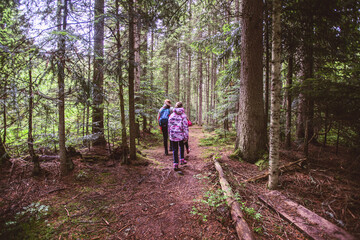 Family Adventure In Beautiful Summer Forest, Healthy Active Lifestyle