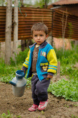 a little boy in the garden
