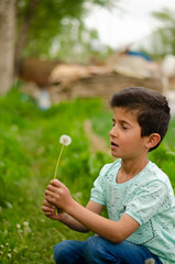 boy blowing dandelion