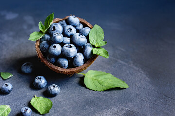 Freshly picked blueberries in coconut bowl on dark background. Healthy organic seasonal fruit background. Berries closeup