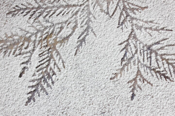 Merry Christmas and happy New Year. Stenciled Christmas tree branches on the snow background. Holiday background. Top view, copy space.