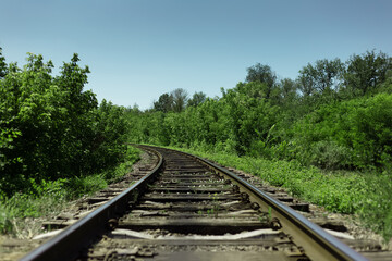Natural landscape background. Close-up of railroad through green forest in sunny day.