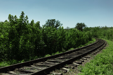 Fototapeta premium Natural landscape background. Railroad through green forest in sunny day.