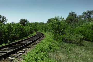 Natural landscape of railroad in forest. Background with copy space.