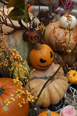 Interior decoration with decorative autumn pumpkins for Halloween holiday. Fall still life with plants, pumpkins. Holiday decor. Horror. Halloween jack-o'-lanterns. Halloween mood, party. October 31