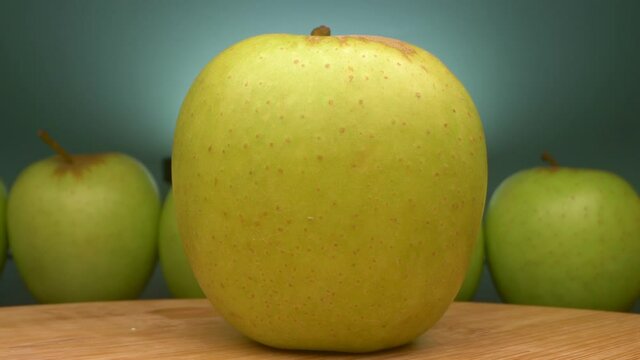 view between rows of apples. old wrinkled and young green apples together