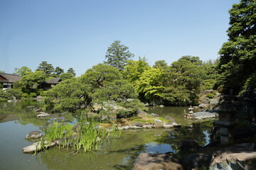 Fototapeta premium 京 桂 20150511