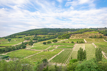 Fototapeta premium Vines and farming in the Rhone Valley, France