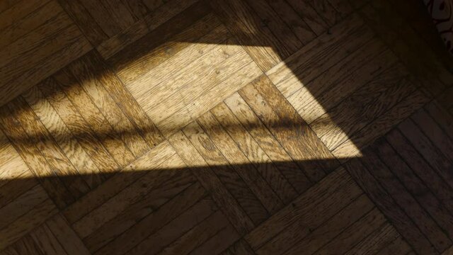 Sunlight and Shadows Over Wooden Parquet in Time Lapse