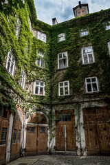 Fototapeta premium Courtyard Of A HIstoric Building With Ivy Overgrown Walls
