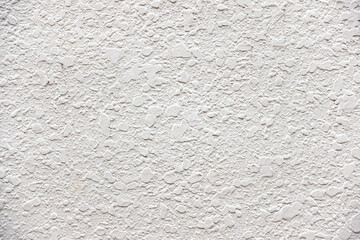 white wall18.jpg
タイトル 	ユニークな白い壁　Material of the unique white wall