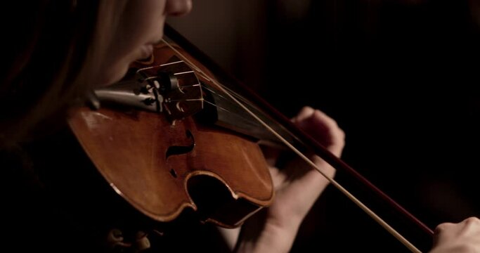 Stock video footage Symphony Orchestra wos