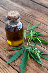 hemp oil and leaves on a wooden table