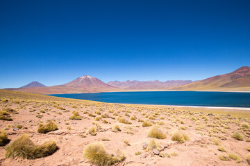 Lagoons Miscanti and Miñiques. Natural landscape of the Chile highland. San Pedro de Atacama. Atacama Desert, Chile