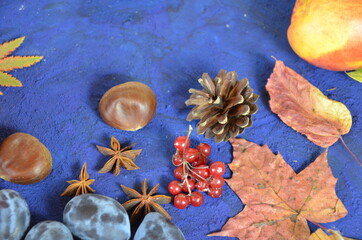Obraz na płótnie Canvas Autumn harvest, grapes, autumn fallen leaves, apples, plums, cinnamon, anise. wild grapes in autumn in the rain.