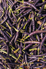 Stack of Raw Chilies in Vertical Orientation