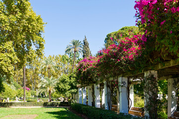 Parque de María Luisa, Seville, Andalucía, Spain