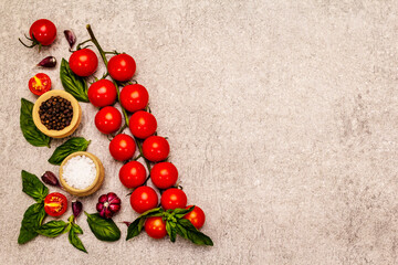 Fototapeta na wymiar Ripe cherry tomatoes, garlic, basil, salt and black peppercorns on a stone culinary background