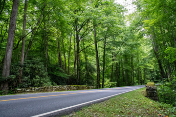 Road through Smokey Mountains National Park, North Carolina