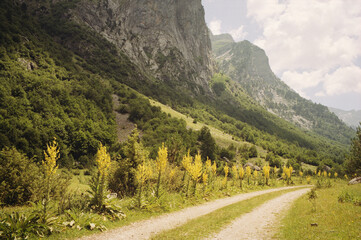 Fototapeta na wymiar Panoramic view of the mountains of the Prokletije National Park in Montenegro. Real grain scanned film.