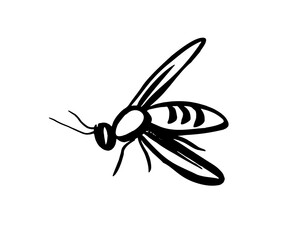 Wasp bee. Insect sketch.