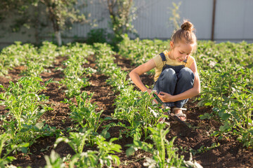 beautiful teenage girl on the background of a green garden in summer