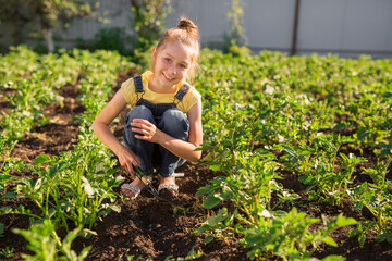 beautiful teenage girl on the background of a green garden in summer