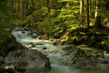 Fototapeta na wymiar Ein Wildbach im Herbstwald