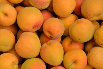 Apricots background. Fresh organic apricot fruits. Countryside garden harvest. Fruit salad, smoothie, pie and jam ingredient.