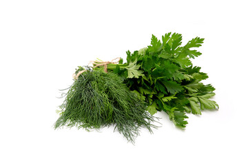 a bunch of dill and punch leaves  on a white background