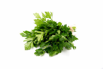 Bunch of green parsley leaves on white background. Side view