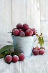 frozen cherry berries on a light background