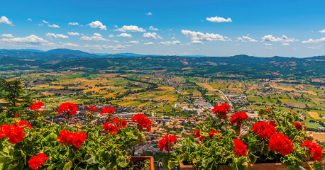 Fototapeta na wymiar Flowers decorate the view from Mount Ingino over the city of Gubbio, Italy in summer