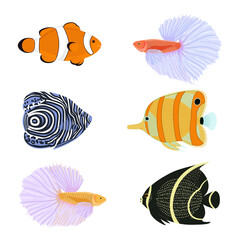 Exotic fishes cartoon collection. Vector set with tropical fishes in flat style.