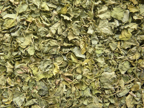 Greenish yellow color dry Fenugreek leaves