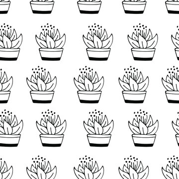 Cactus pattern. Vector images seamless.