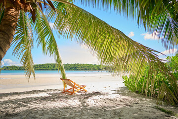 Resting on the beach with beautiful coconut trees.