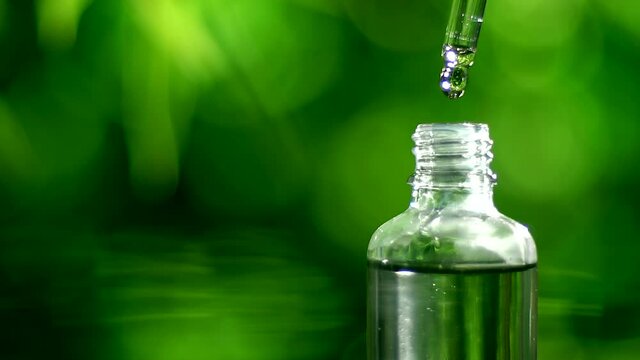 Macro close up of droplet dosing a biological and ecological hemp plant herbal pharmaceutical cbd oil from a jar.
