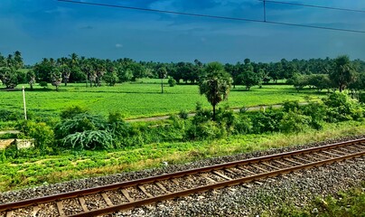 rural landscape with a train