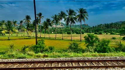 Obraz premium Farmlands and vegetation in India. From the tracks.