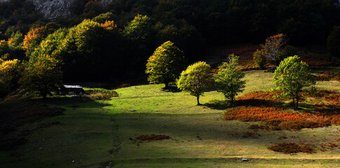 Alpine landscape in Cernei Mountains, Romania, Europe