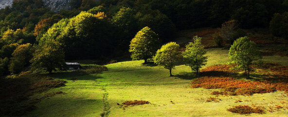 Alpine landscape in Cernei Mountains, Romania, Europe
