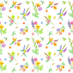Watercolor colorful pattern with elegant  bouquets of summer flowers, spikelets blades of grass and leaves. White background.