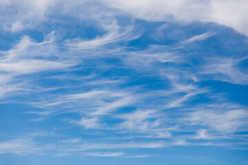 Cirrus clouds in blue sky in summer