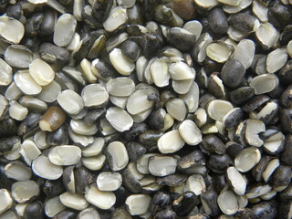 Black and white color split raw Urad dal lentils