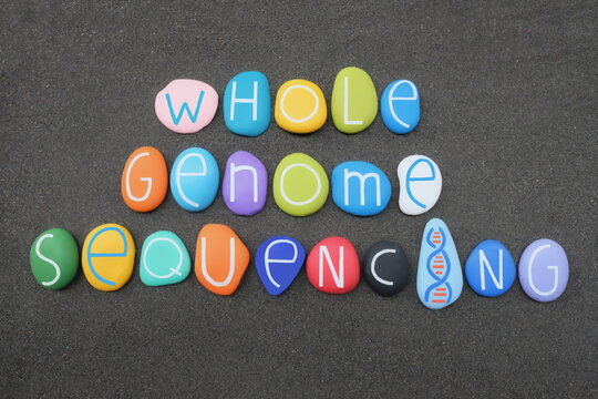 Whole Genome Sequencing Text Composed With Multicolored Stone Letters Over Black Volcanic Sand