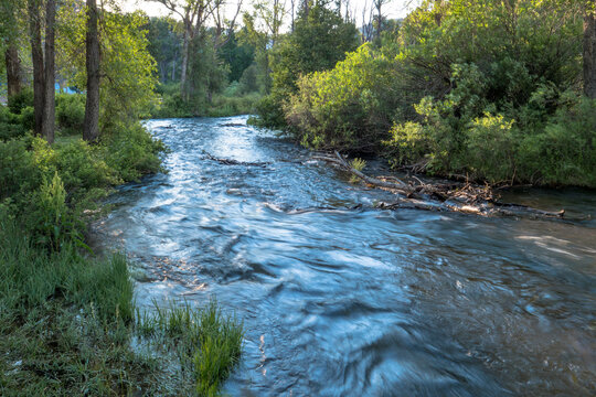 Dawn light in summer on the Cimarron River in Cimarron Canyon State Park in New Mexico's Sangre de Cristo Mountains